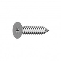 Vis tôle TF inox A4 - Torx