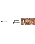 Vis